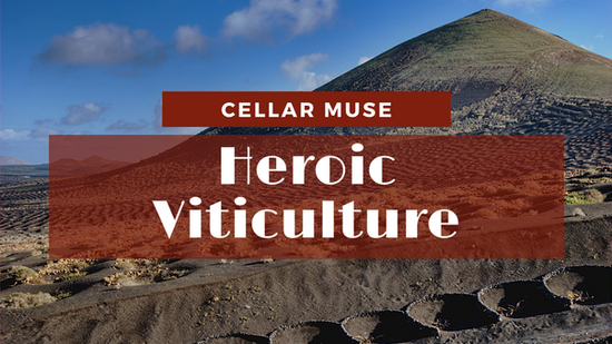 Heroic Viticulture
